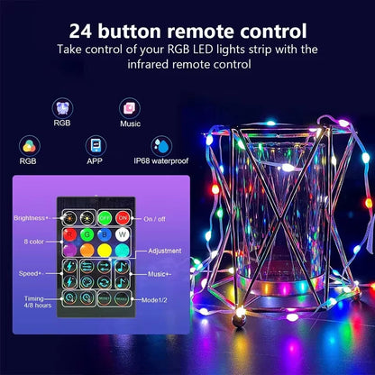 Dreamcolor RGB Smart LED Fairy Lights