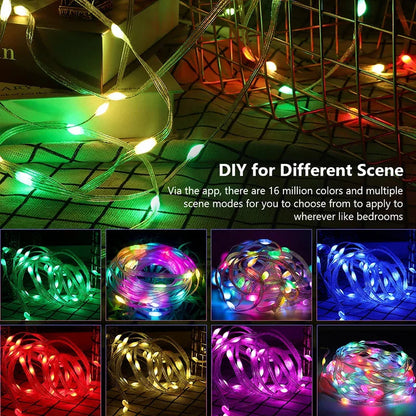 Dreamcolor RGB Smart LED Fairy Lights