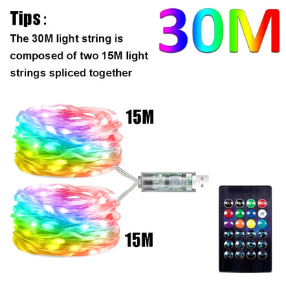 Dreamcolor RGB Smart LED Fairy Lights