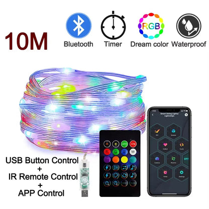 Dreamcolor RGB Smart LED Fairy Lights